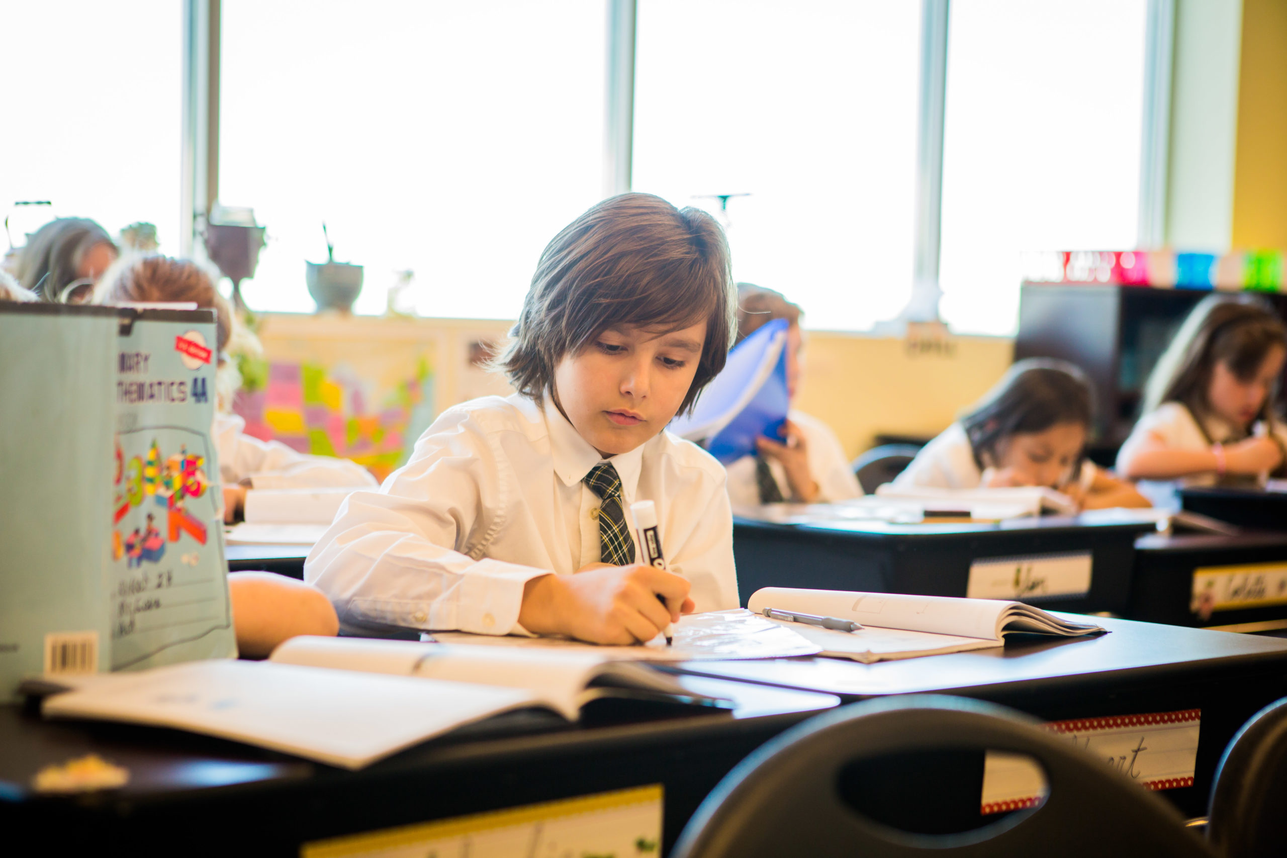 What are the Liberal Arts and Why is this Education Indispensable for