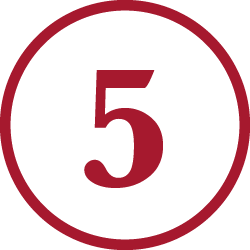 Curriculum Maps Icon